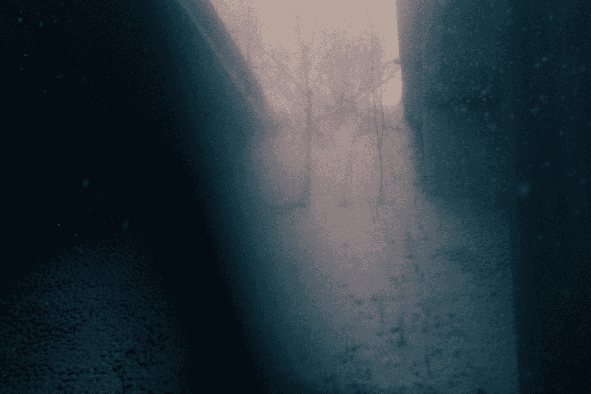 First Snow in Finland