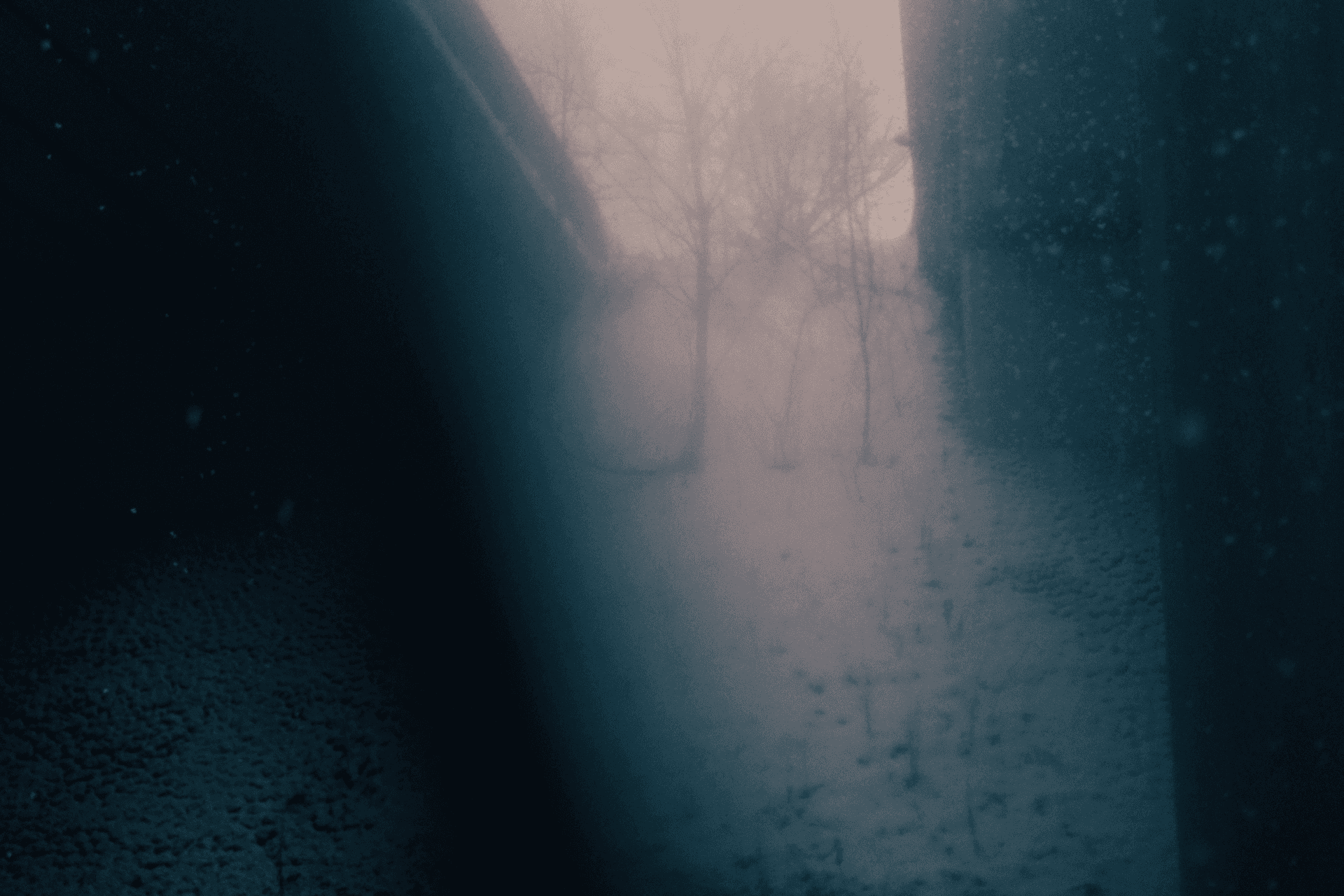 First Snow in Finland