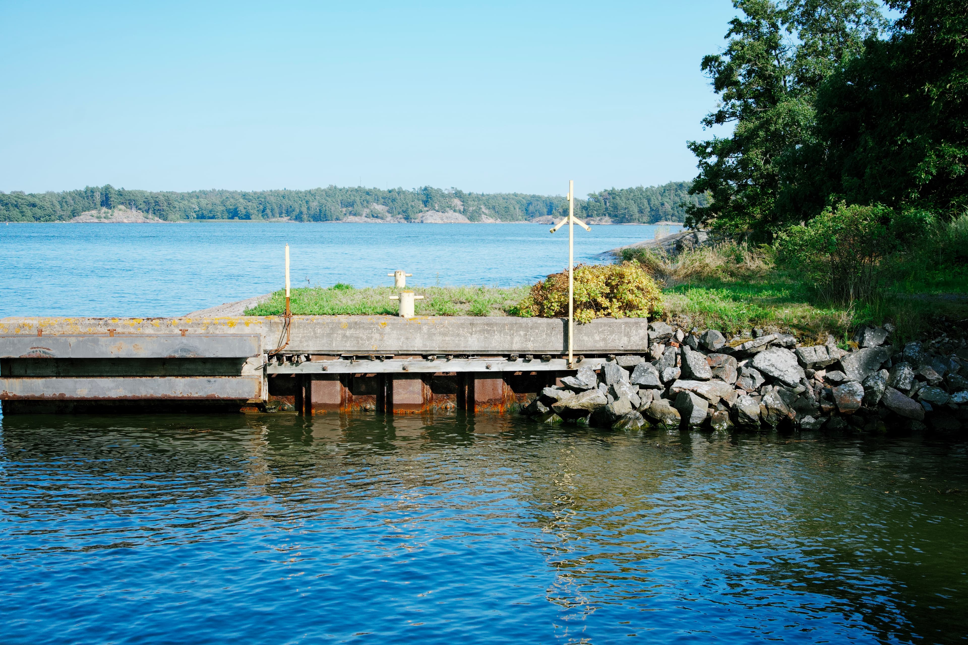 Whispers of the Water's Light