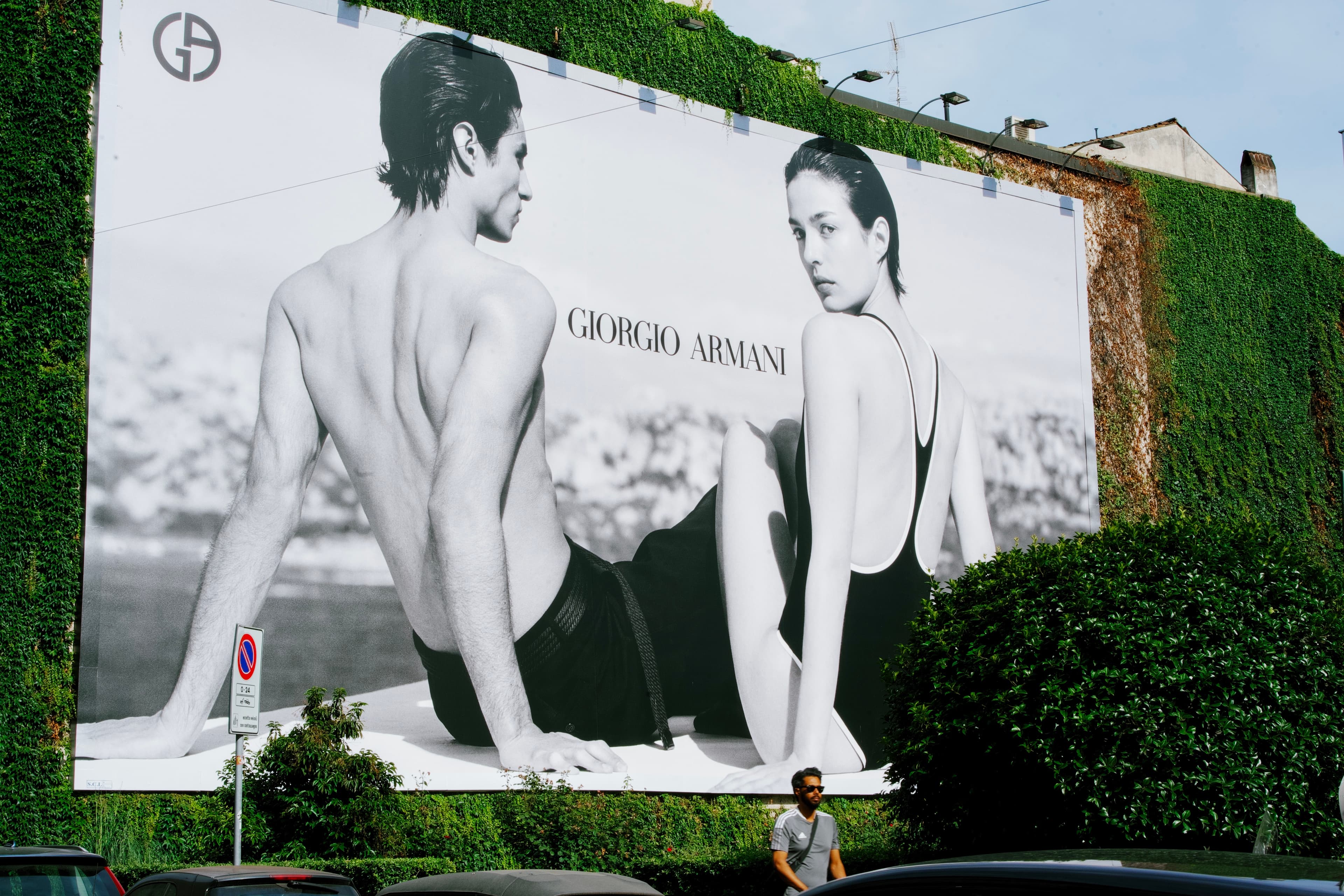 Song of the Wall's Shadowed Vines